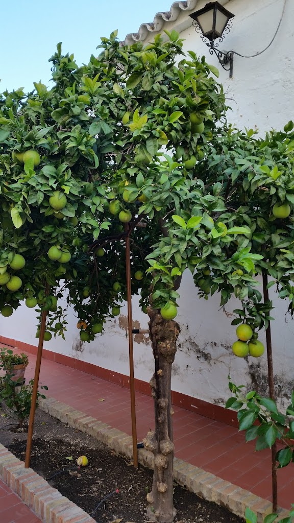 Casa de Espiritualidad Madre de Dios