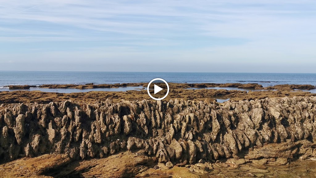 Los Corrales de Rota — Videos