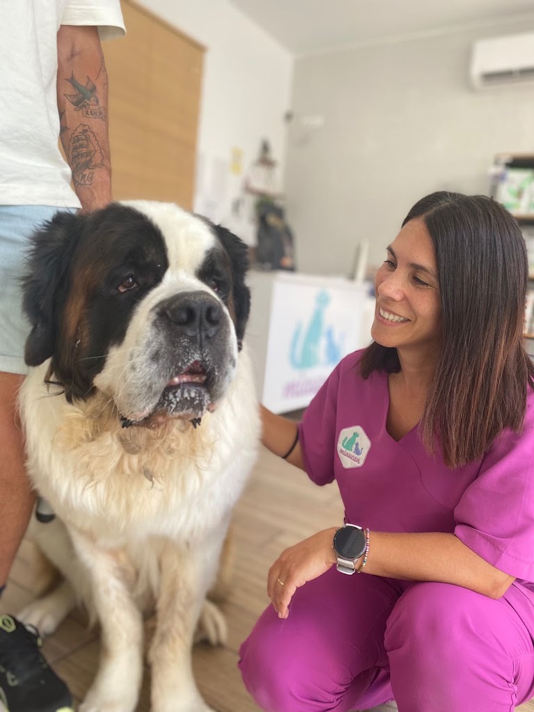 Centro Veterinario MIAUCAN — Perro
