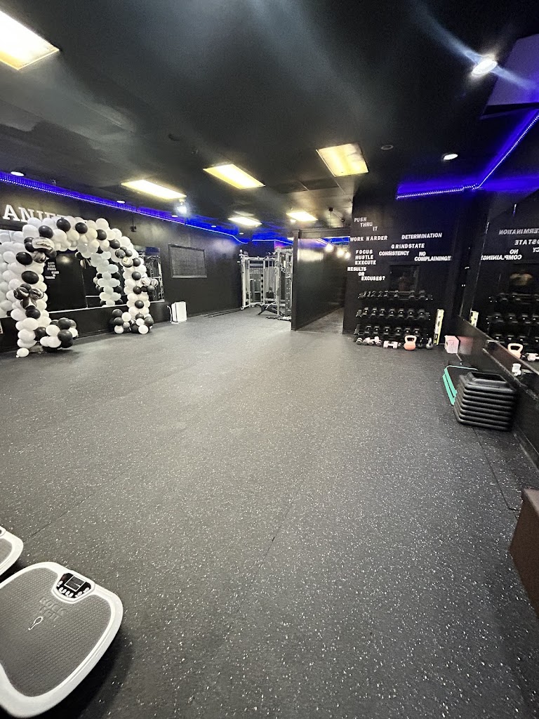  Luxury Wellness Studio