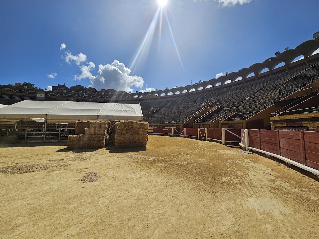 Plaza de toros de Las Palomas