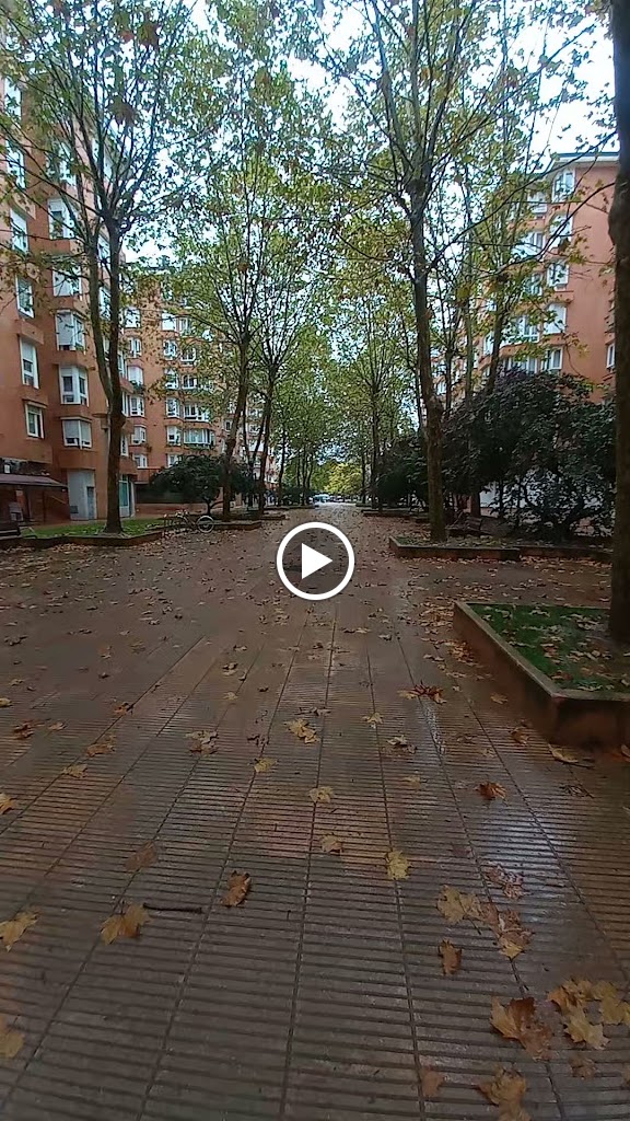 BIZAN San Martin — Videos