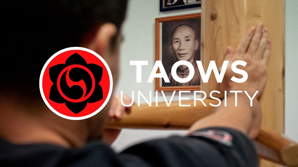 Wing Chun TAOWS Mallorca