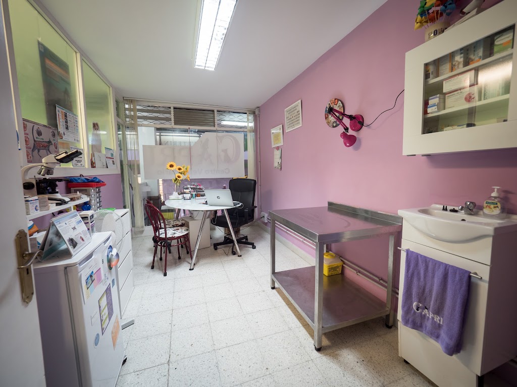 Centro Veterinario Capri — Del propietario