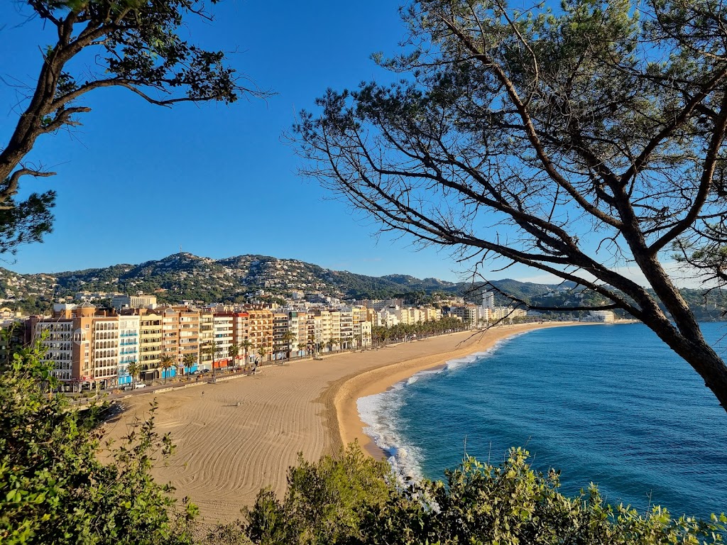 Punto de observacion