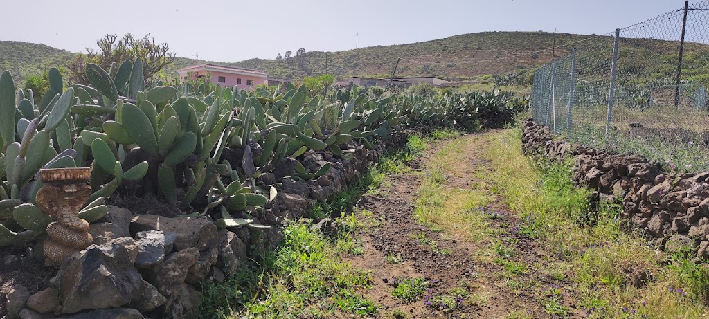 Sendero la Cobra