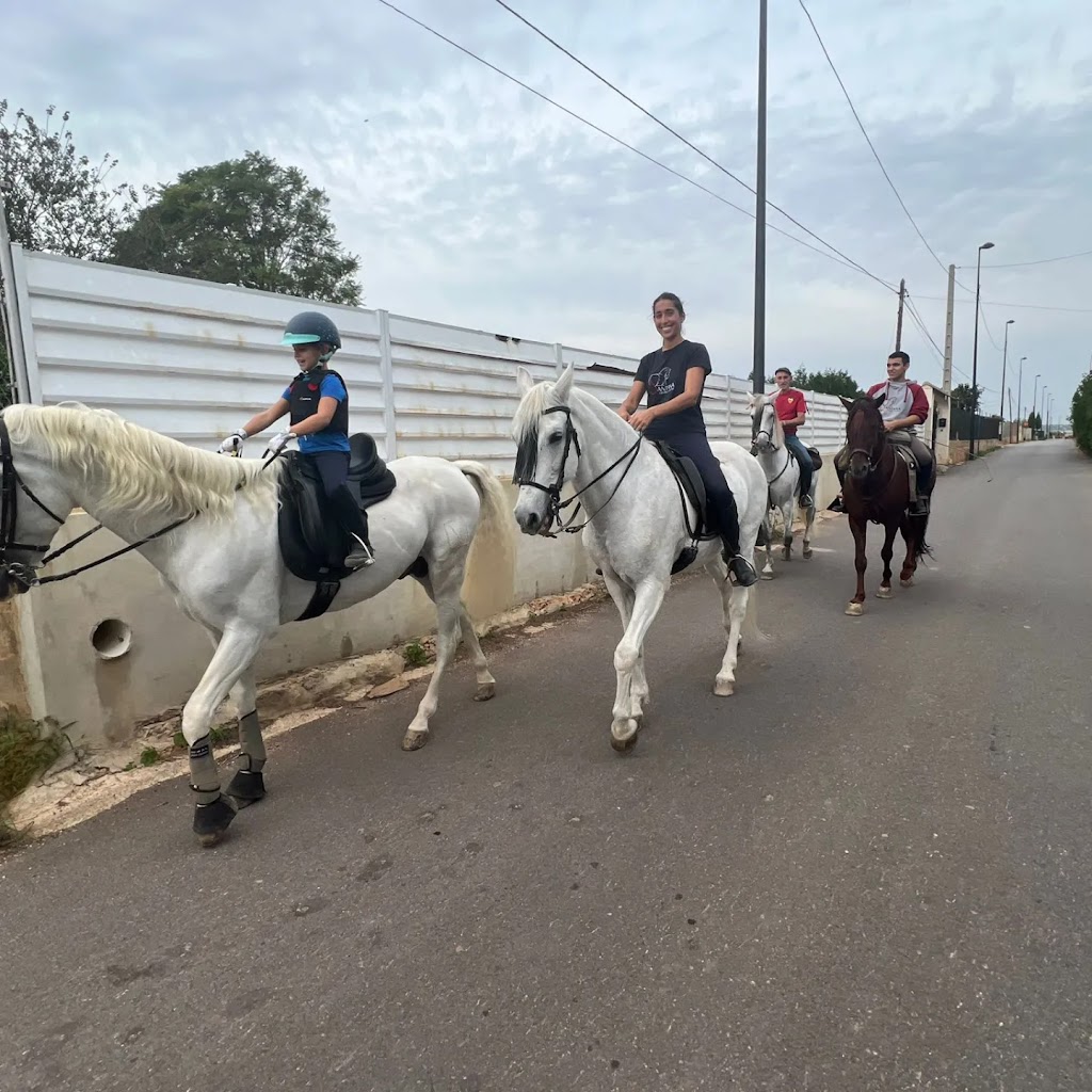 CENTRO ECUESTRE CORTIJO SANTANA