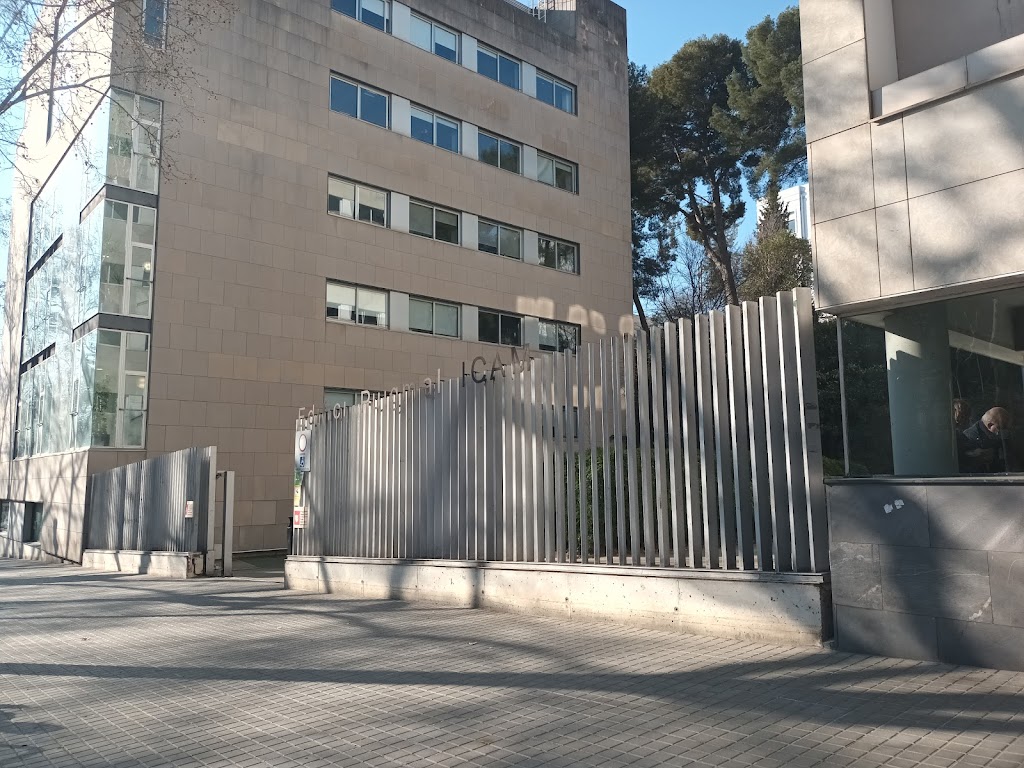 ICAM - Instituto Catalan de Evaluaciones Medicas