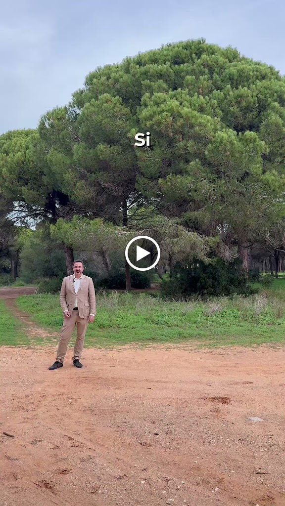 Alquiler de Coches Chiclana | Carflet Rent a Car — Del propietario
