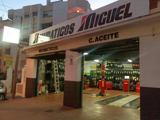 Neumaticos Miguel y Mecanica en General para vehiculos — Todas