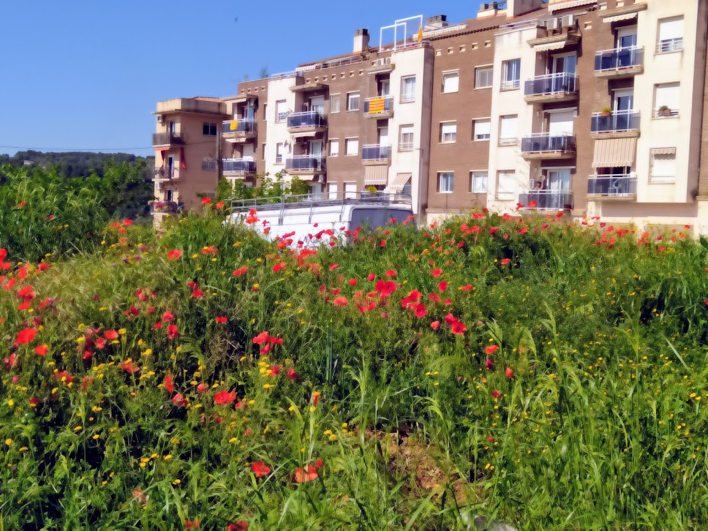 Aparcament BARRI LA CENTRAL