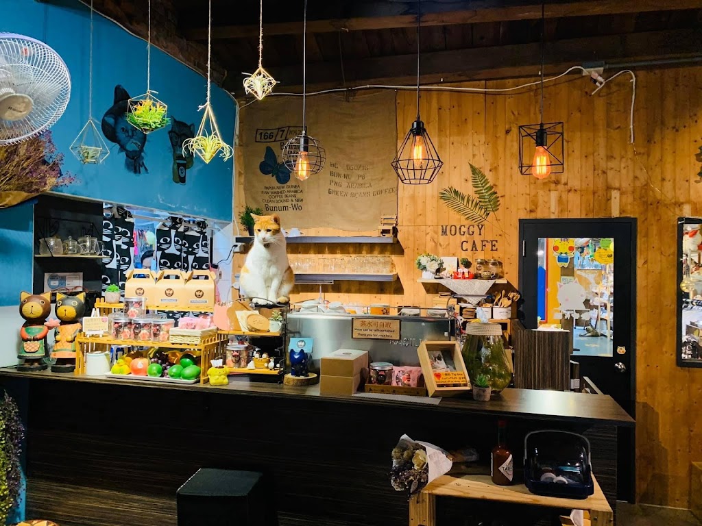 Moggy cafe 的照片
