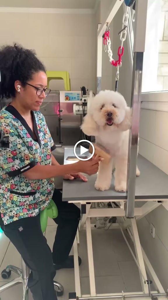 Centre Veterinari Ocata — Videos