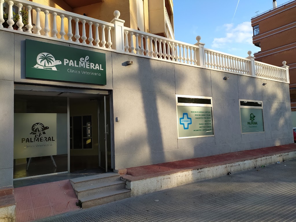 CLINICA VETERINARIA EL PALMERAL — Del propietario
