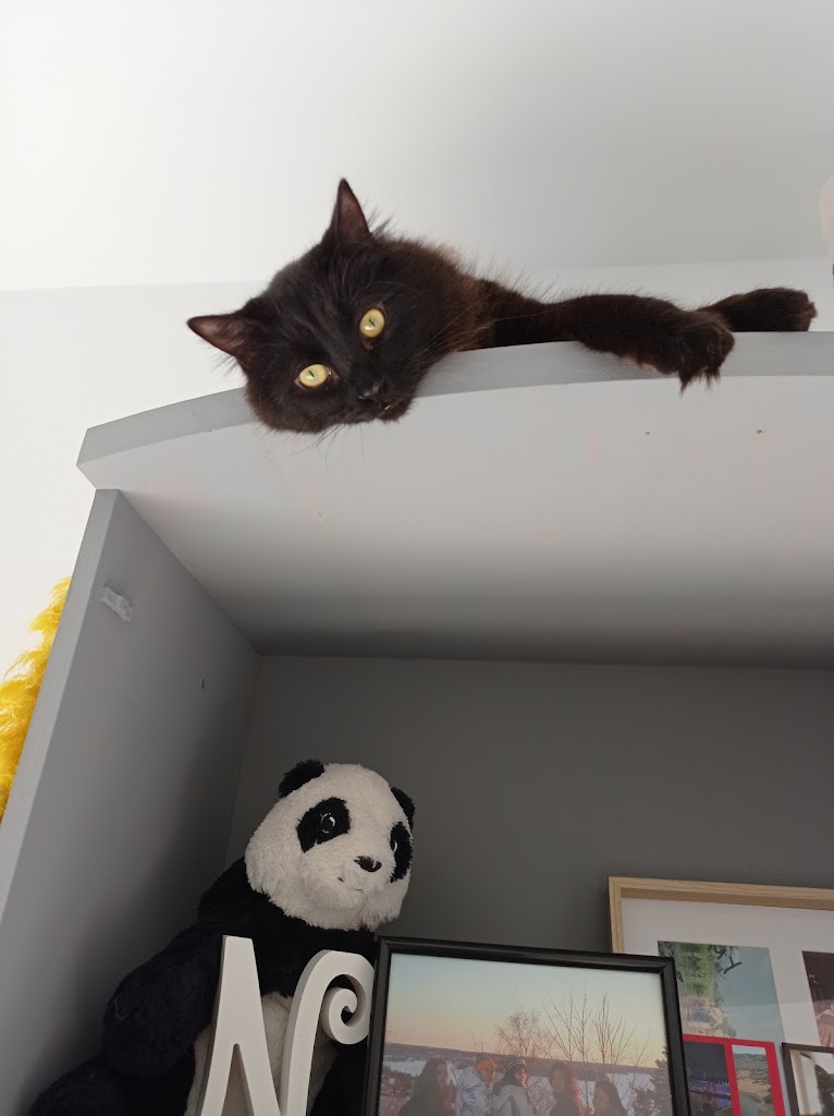 Amanecer Isleno Habitaciones