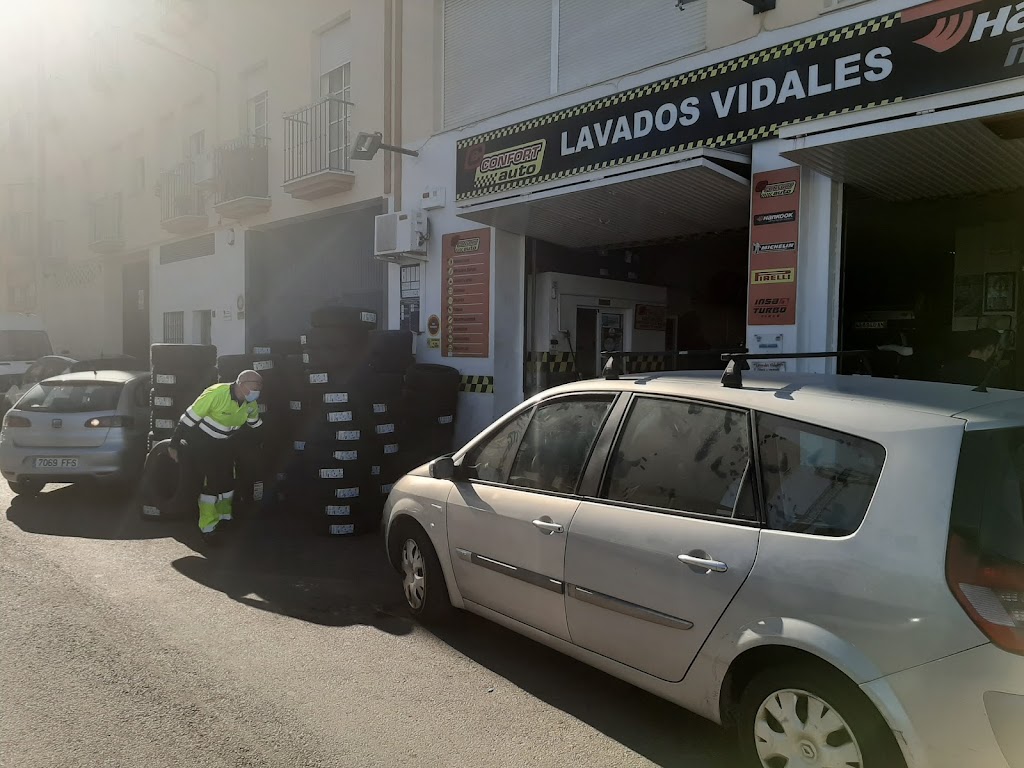 LAVADOS VIDALES — Del propietario