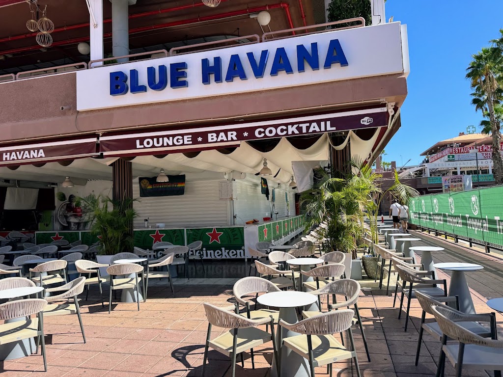 Blue Havana, Lounge Bar Cocktail — Ambiente