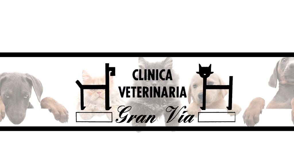 Clinica Veterinaria Gran Via