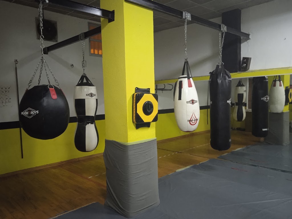 OLIMPUS LLIRIA — Gimnasio