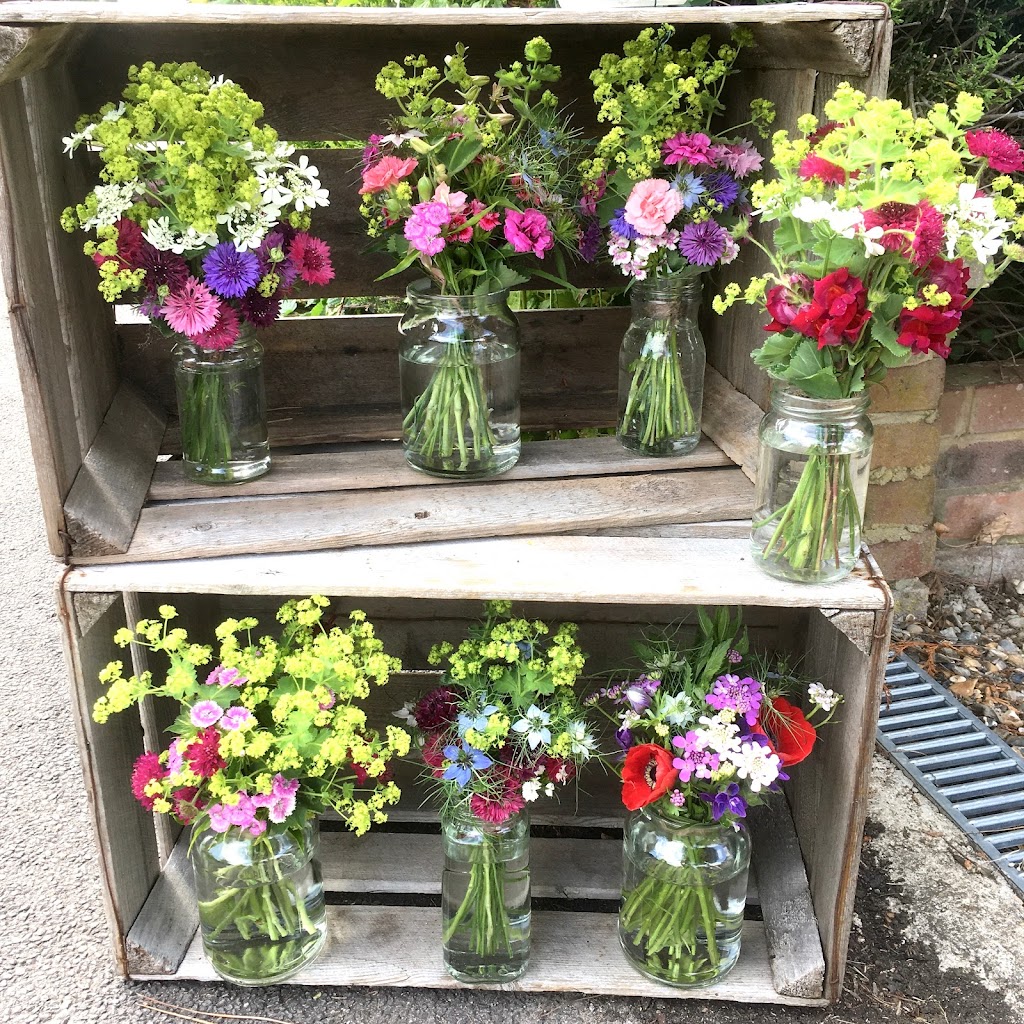 Flo's Flower Garden