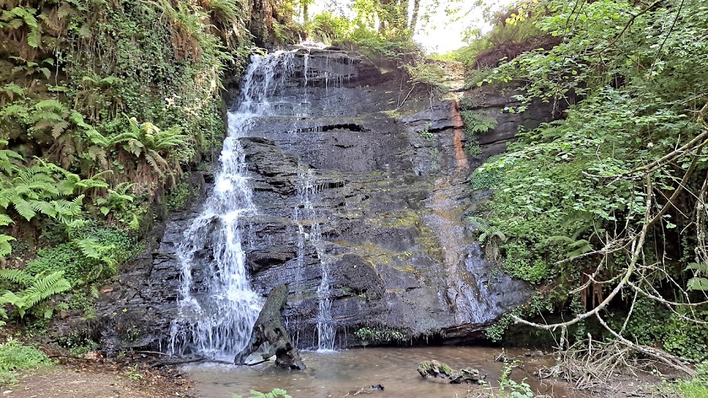 Paseo das Aceas