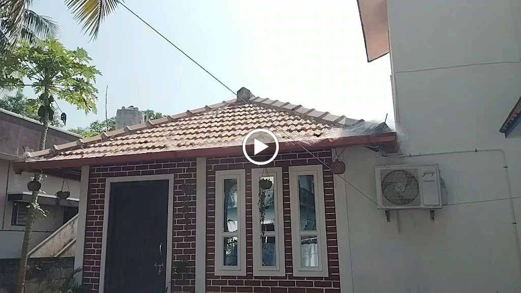 Videos