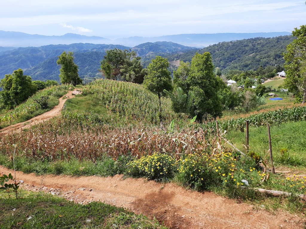 Camping Area - Dulamayo