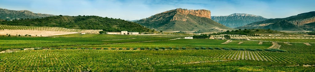 Bodegas Hijos de Juan Gil