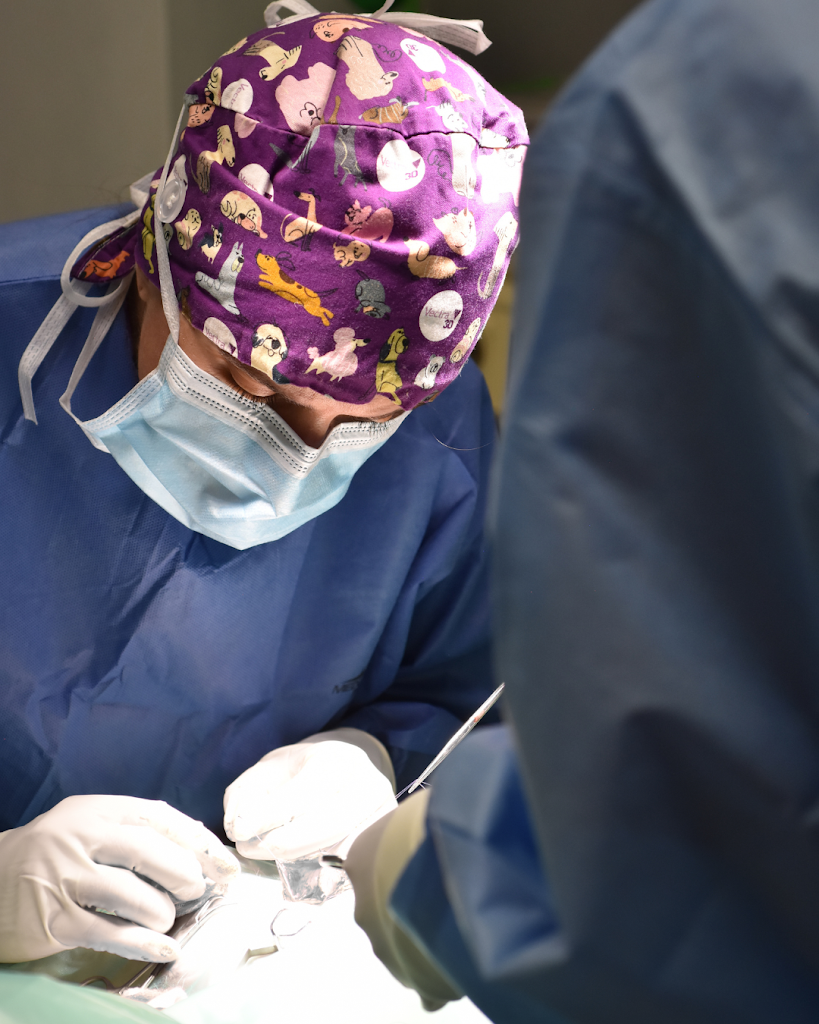 Hospital Veterinari del Penedes - Vilafranca del Penedes