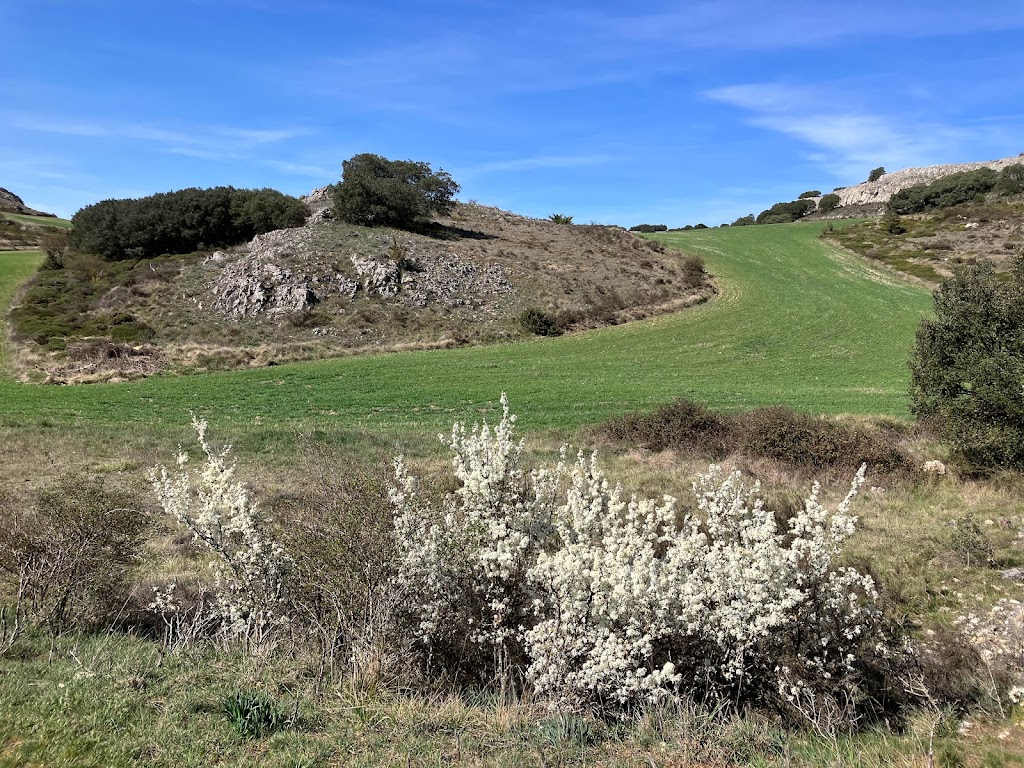 Ruta del Piscadardano (hoces del Odra) por Valdearas
