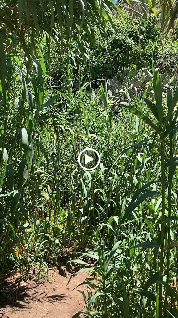 Sendero del Alamo — Videos