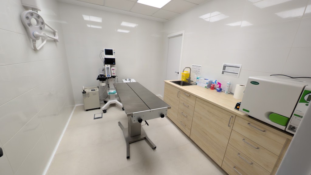 Pet and Health Clinica veterinaria Barajas