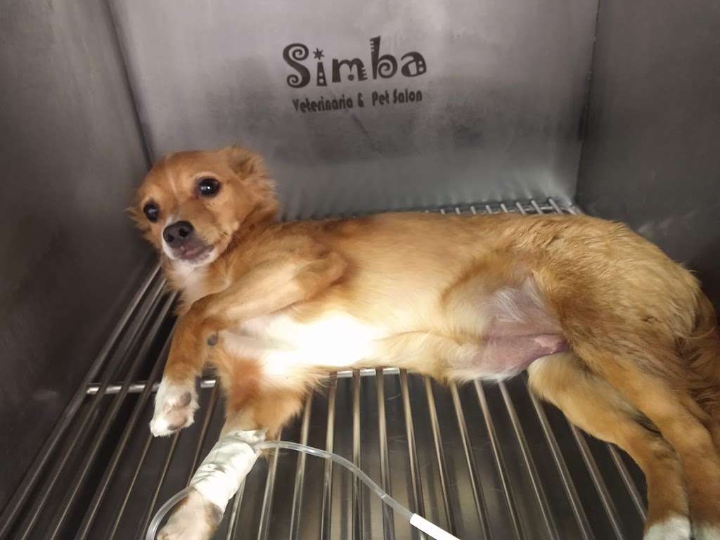 Simba Veterinaria y Pet Salón en Zapopan