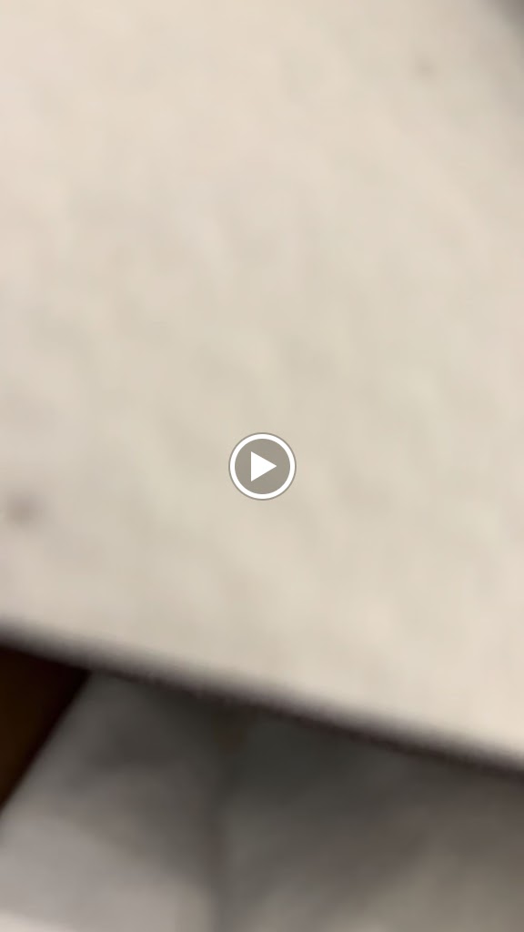 Los caprichos de Luis — Videos