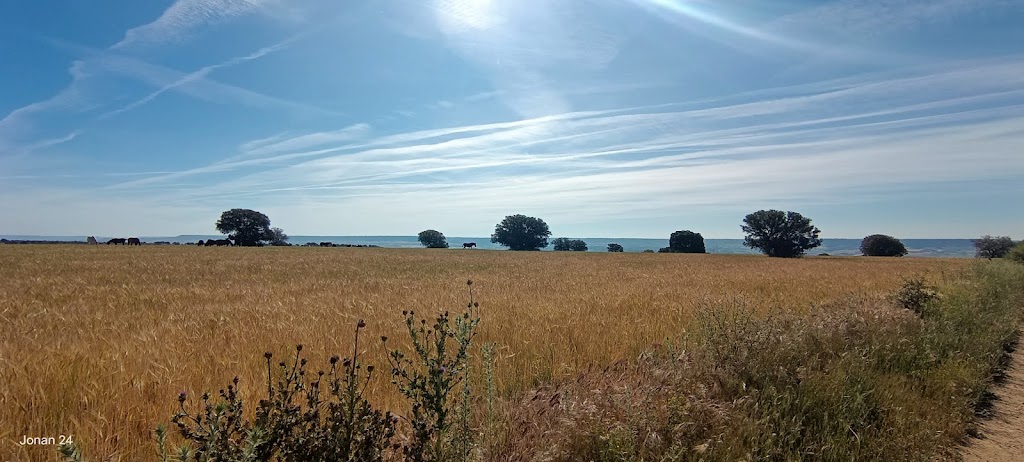 Cabanillas del Campo, El Camino de la Dehesa