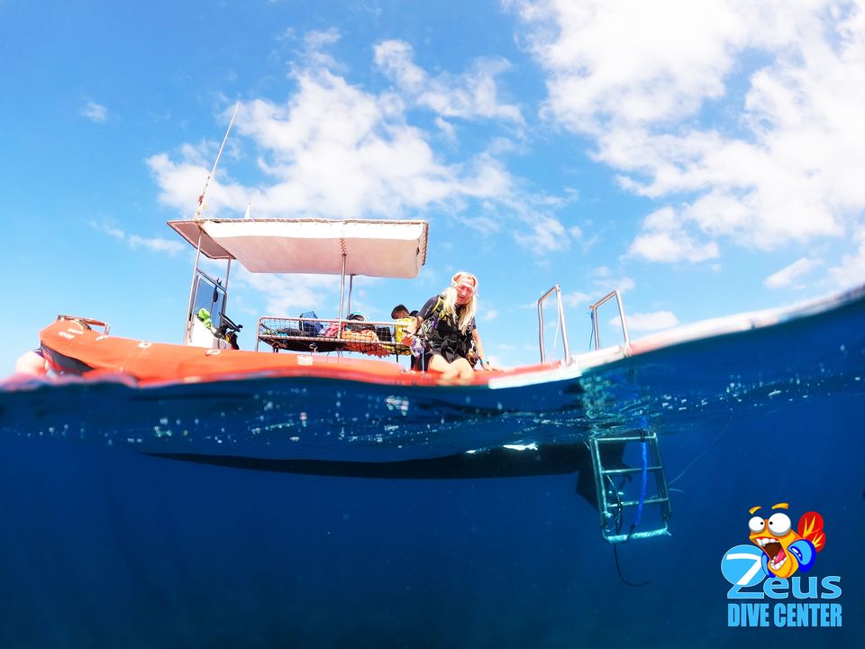 Zeus Dive Center Mogan