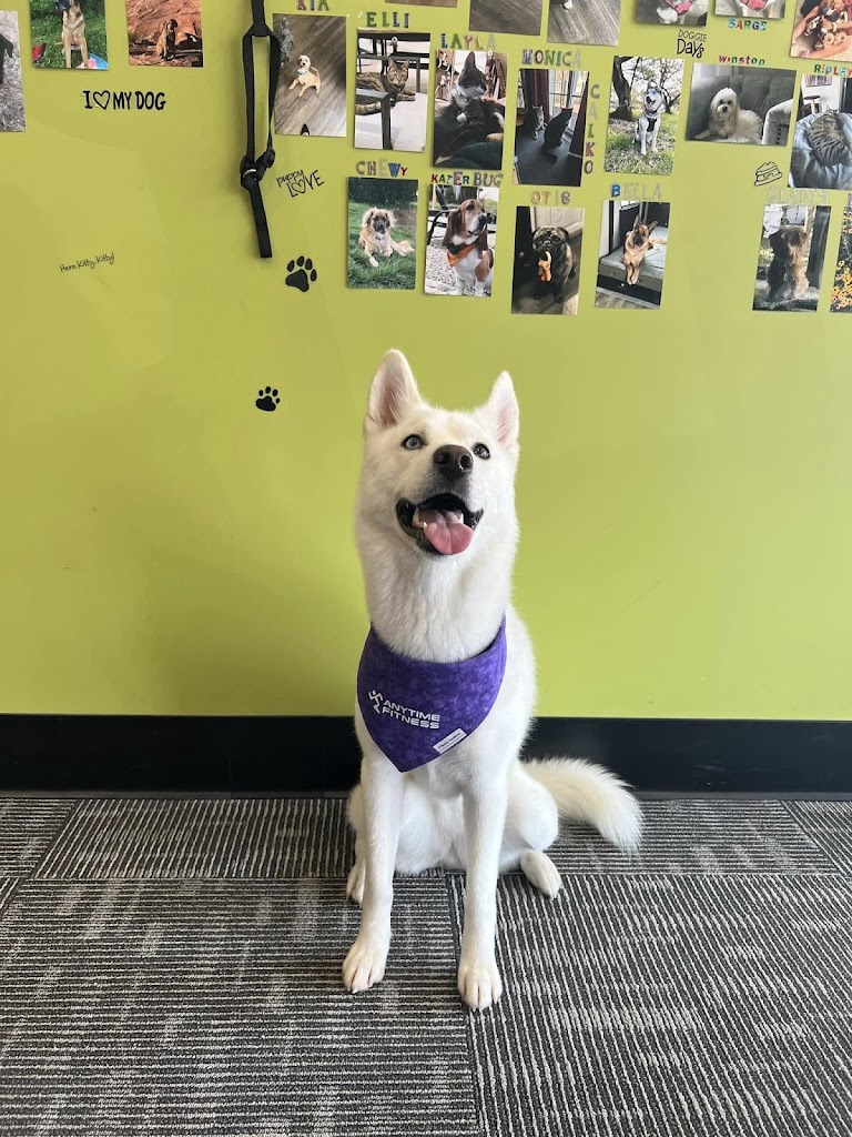  Anytime Fitness