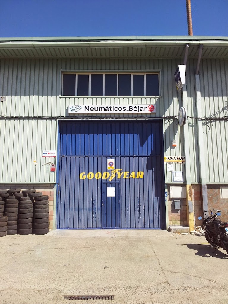 Neumaticos en Bejar