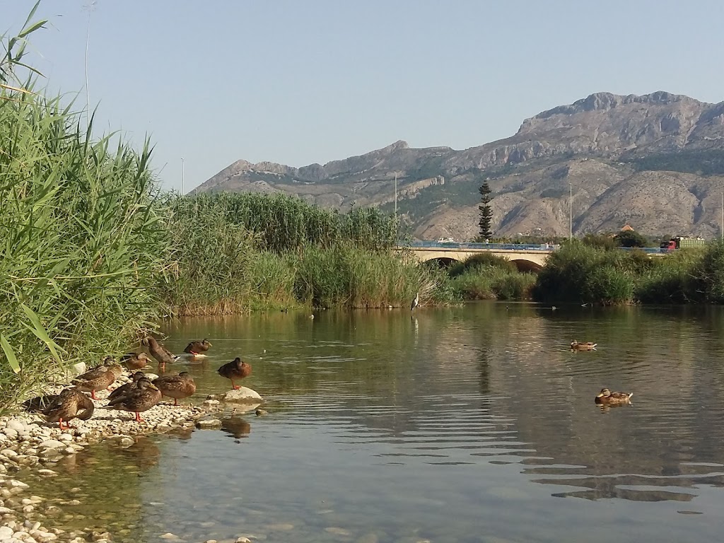 Desembocadura Riu Algar