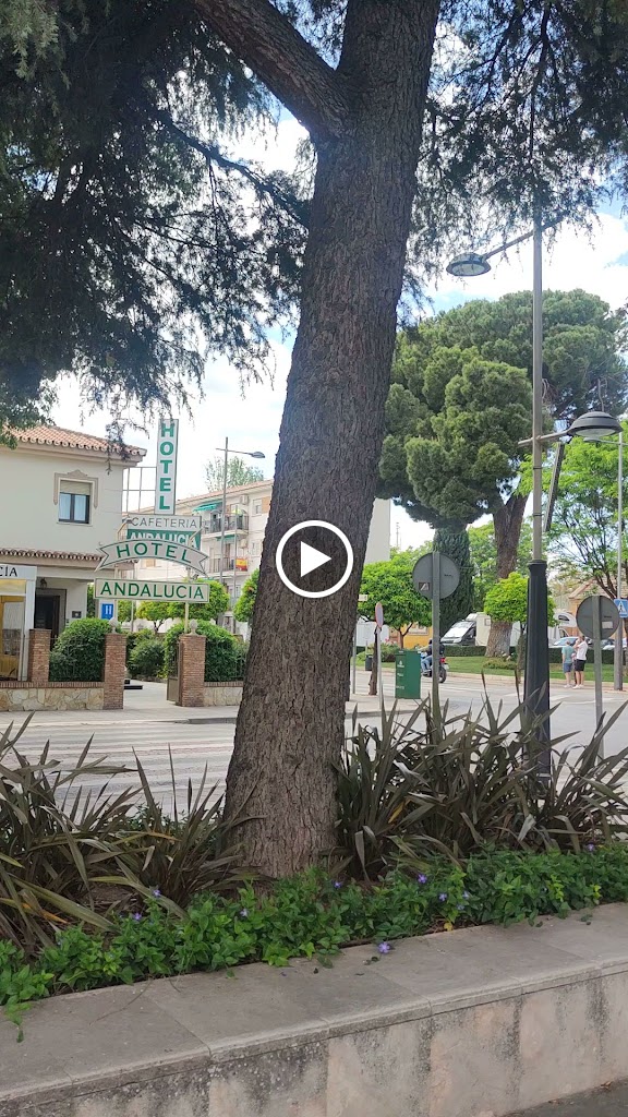 Monumento homenaje a la Guardia Civil — Videos