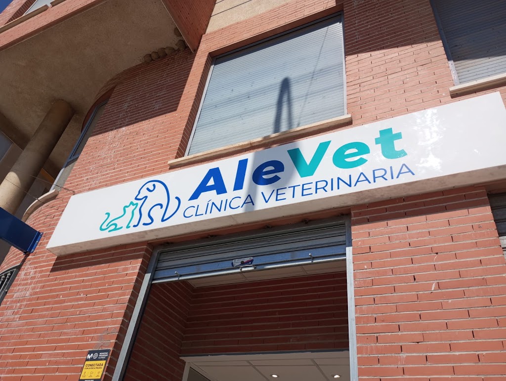 AleVet Clinica Veterinaria — Del propietario