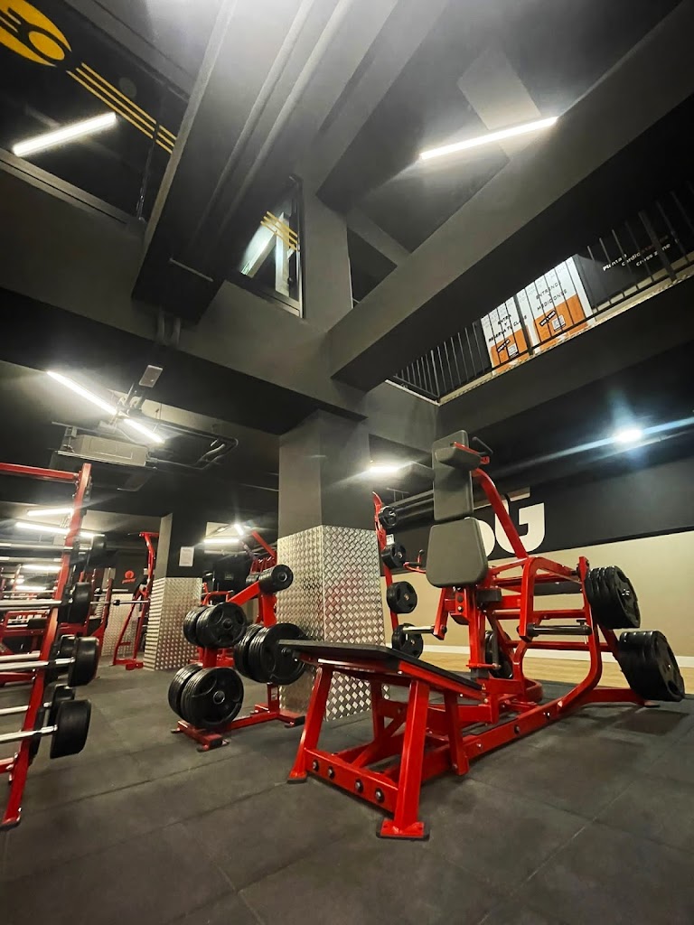 Synergym Ourense Progreso