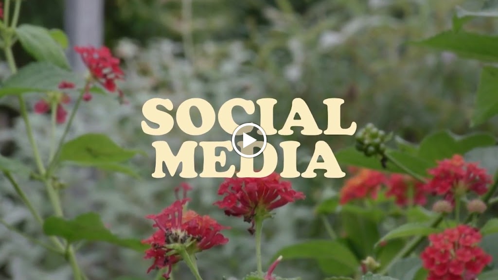 Monarch Marketing And Design Llc