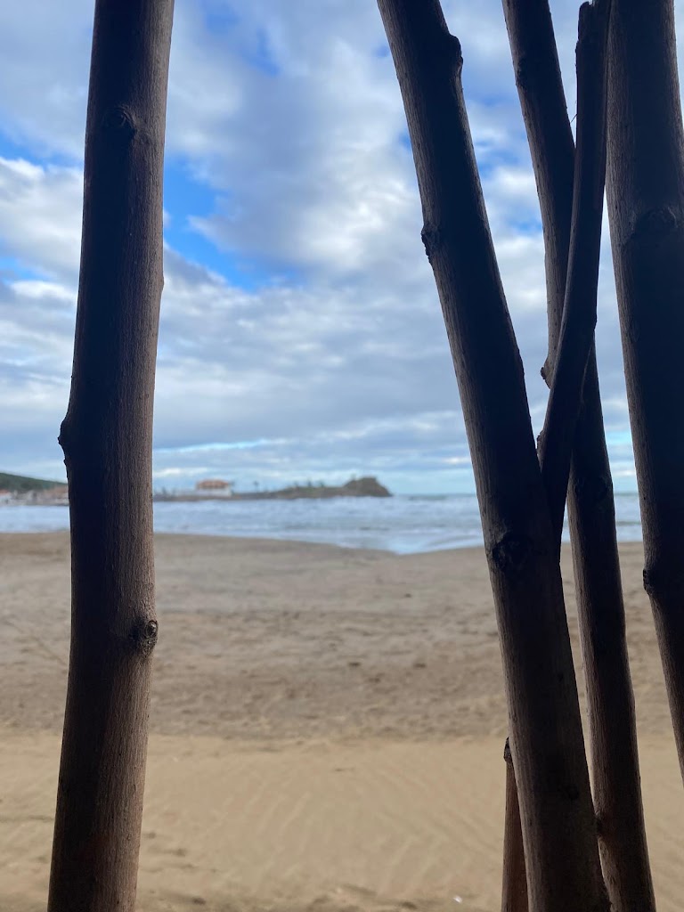 BANGALORE PLAYA — Mas recientes