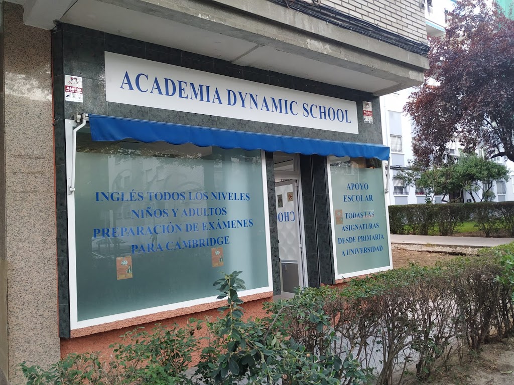 Academia Dynamic School