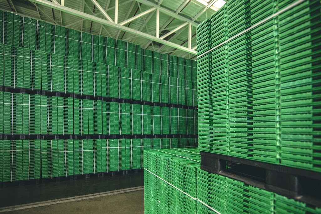 Logifruit, plataforma de Guadix