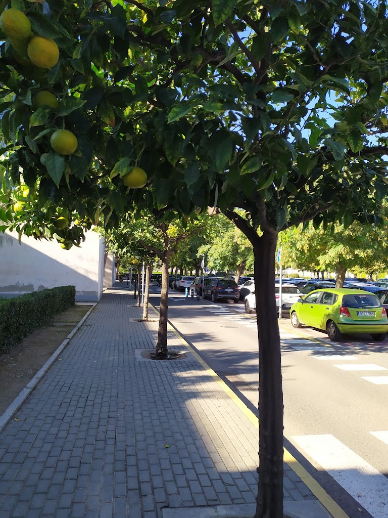 Parking Taller de Imagen