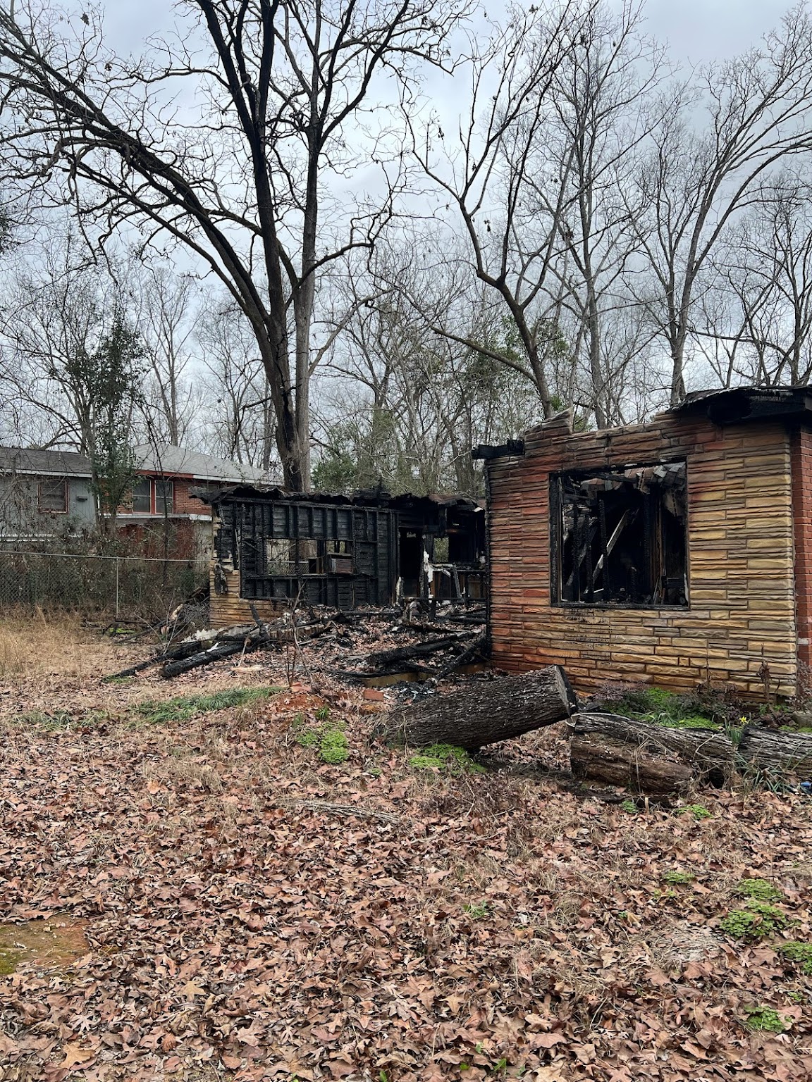 Lot And Land Clearing