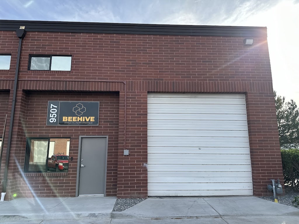  Beehive Athletic Performance