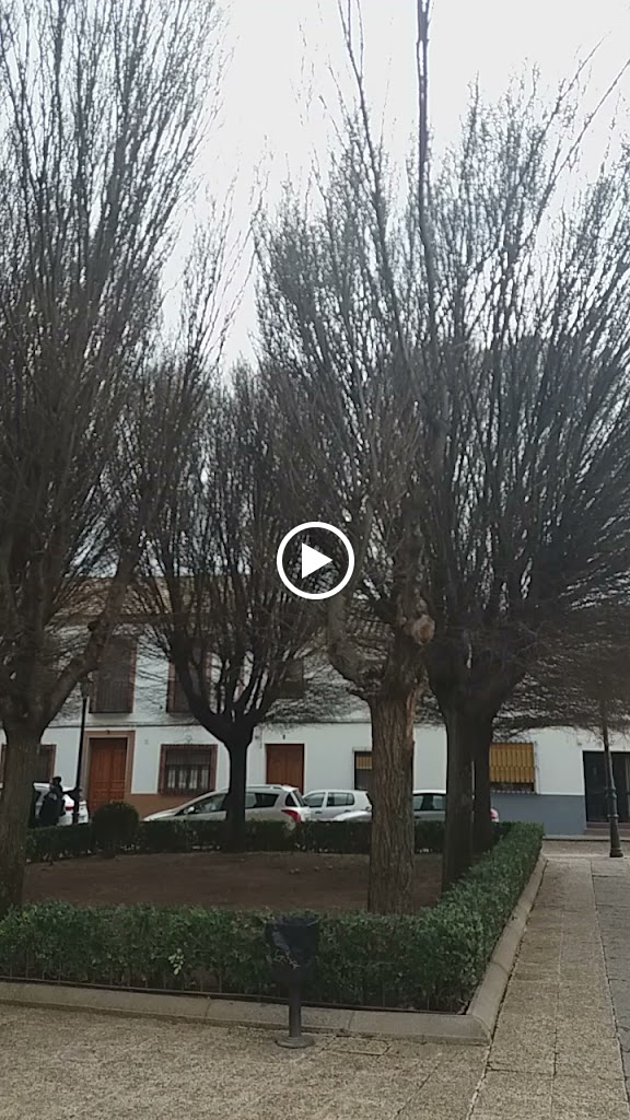 PLAZA SANTA MARIA. — Videos